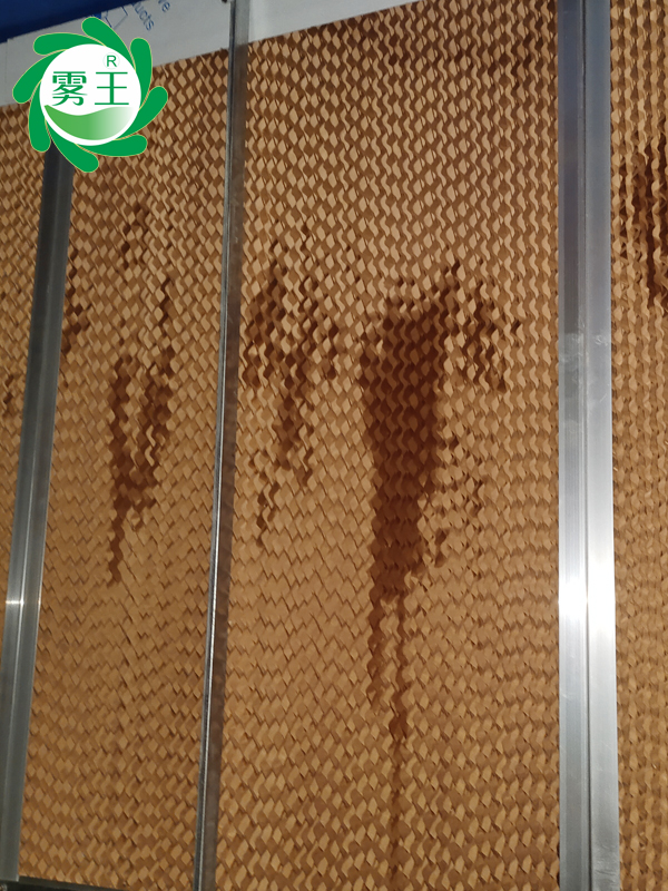 醫(yī)療機(jī)械車間空調(diào)機(jī)組高壓微霧加濕器 (5)